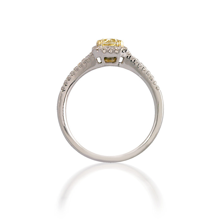 Radiant Yellow Diamond Engagement Ring